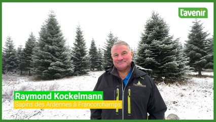 Les sapins de Noël du Stavelotain Raymond Kockelmann