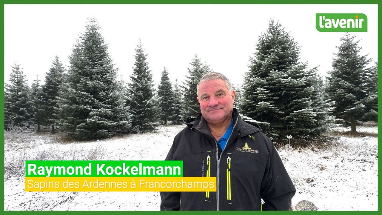 Les sapins de Noël du Stavelotain Raymond Kockelmann