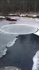 Un cercle de glace tourne au milieu de cette rivière