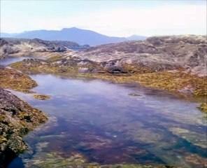 The Blue Planet.S04