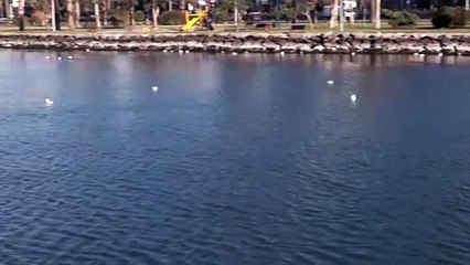 İzmir Körfezi'nde yatırımlar sonuç vermeye başladı