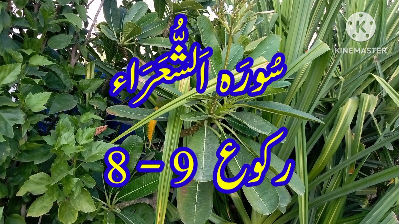 Surah Ash Shuara | quran recitation | quran pak...