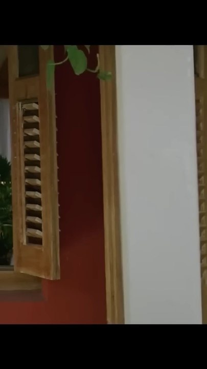 Dil ka rishta bada Hi pyara💕
