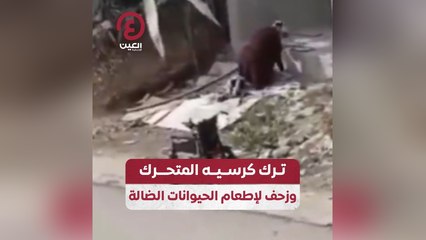 ترك كرسيه المتحرك وزحف لإطعام الحيوانات الضالة