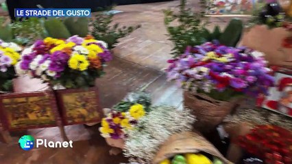 LE COLTIVAZIONI D'ECCELLENZA A VITTORIA