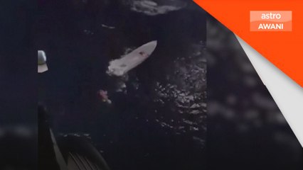 Lima maut, puluhan migran hilang di Pulau Gavdos