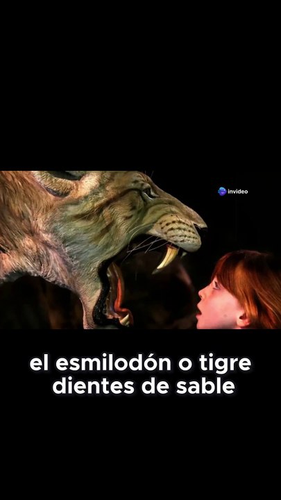 Esmilodón: El Tigre De Dientes De Sable Que Asombró A La Megafauna
