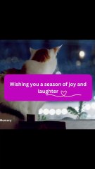 Christmas wishes . #christmas #christmas2024 #christmaswishes #shorts