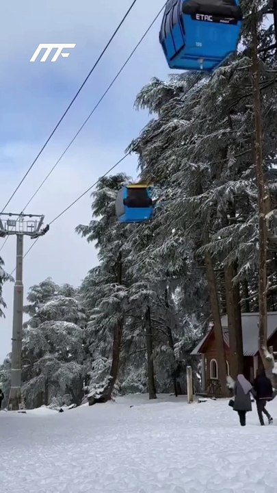 « L'hiver en Algérie » : des images incroyables qui fascinent la Toile.