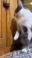 How he tells me he’s hungry