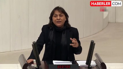 DEM Partililer Meclis'te Türk askerini 'işgalci' olmakla suçladı