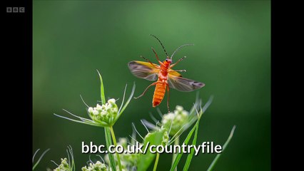 Countryfile - Peak District