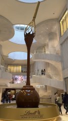 Le chocolat noir ne fait pas grossir 🍫🧸