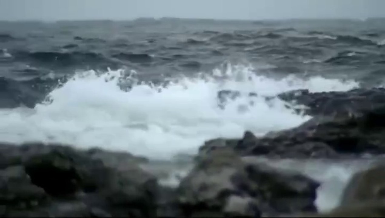 Der Kommissar und das Meer -05- Der sterbende Dandy