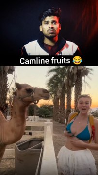 Try Not To Laugh Challenge pt 1 😂 #funny #comedy #comedyvideo