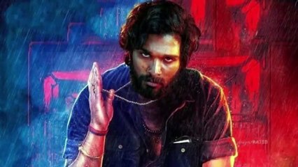 Pushpa 2_ The Rule Full Movie Explained in Hindi