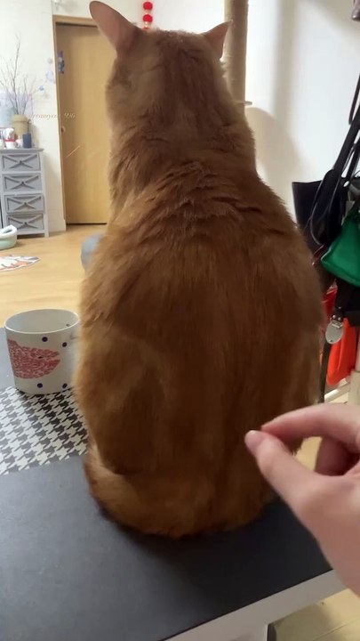 don't touch that