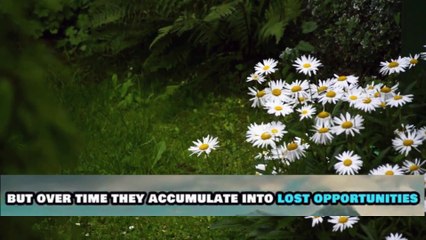 dont waste your time