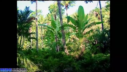 Os Mutantes Capitulo 165 Primeira Temporada Caminhos Do Coração