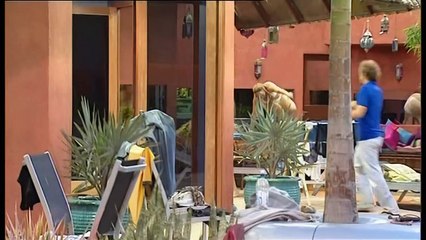 061-Big Brother Australia Season 04, Day 46a, Daily Show, Wednesday, 16 June 2004