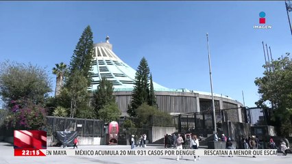 Rescatan a 68 perritos peregrinos en la zona de la Basílica de Guadalupe