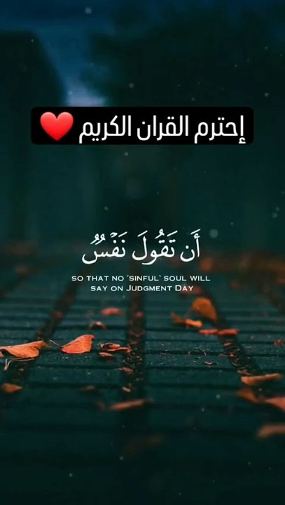 القران الكريم بصوت جميل