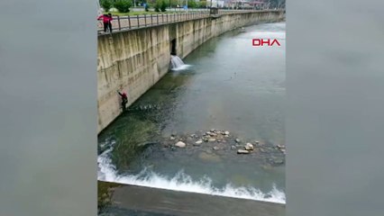 Derede mahsur kalan kedi, balıkçı kepçesiyle kurtarıldı