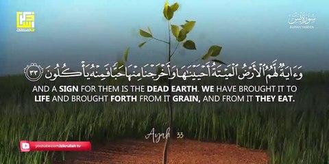Most beautiful recitation of Surah Yaseen (Yasin) سورة يس ⋮ Zikrullah TV