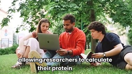 Plant Protein and Heart Disease: What the Research Says!