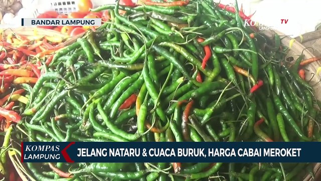 Dampak Cuaca Buruk & Jelang Nataru Harga Cabai Meroket