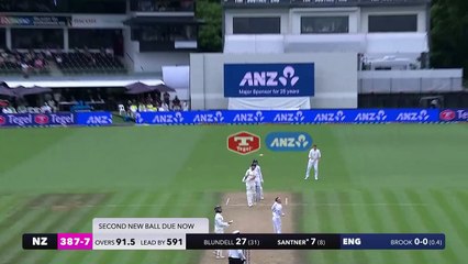 Spectator takes brilliant crowd catch in New Zealand