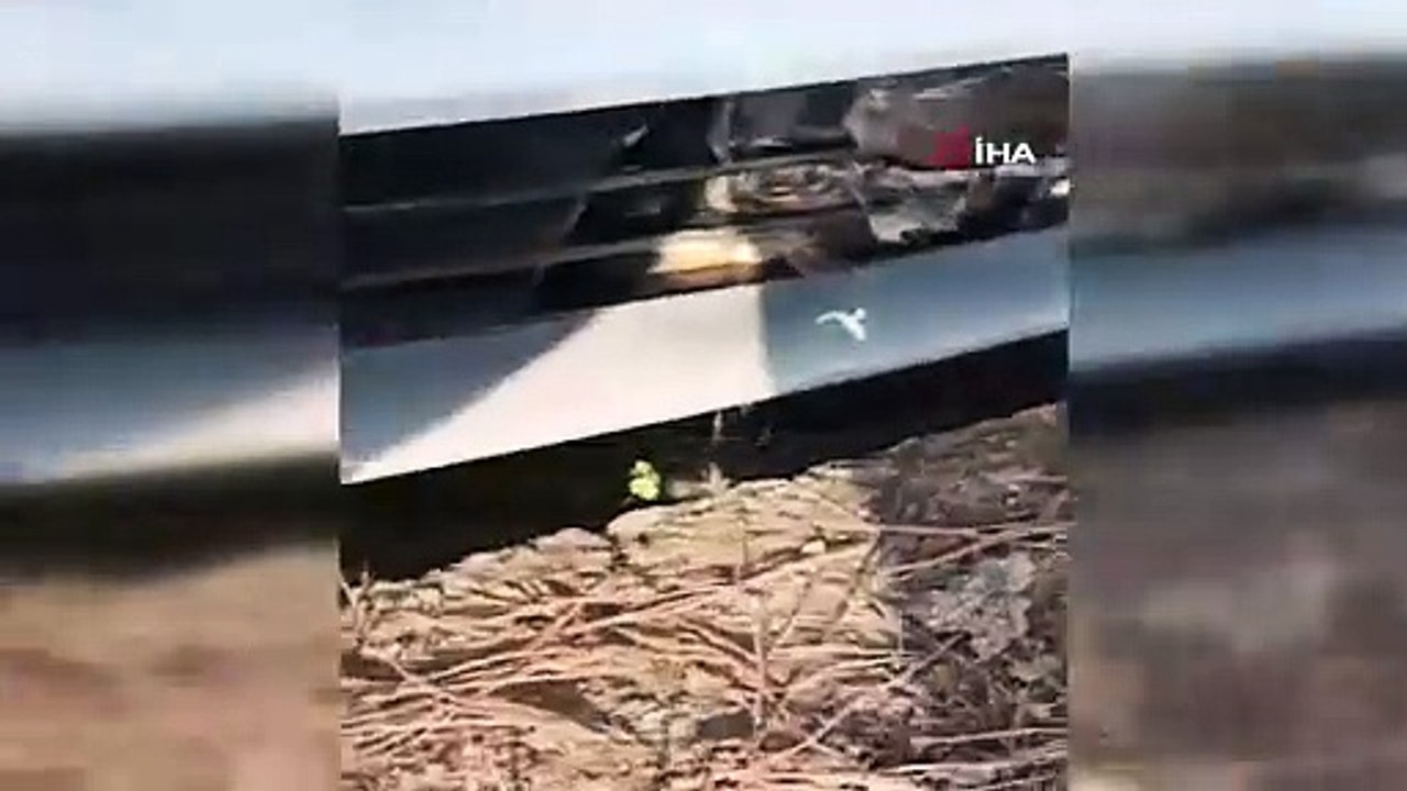 Şahin, 345 kilomtrelik yolu otomobil kaputunda gelmiş