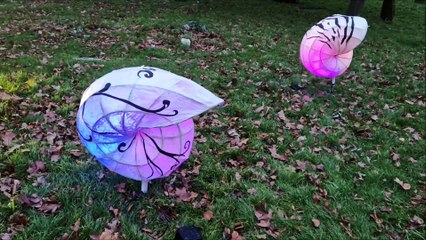 See incredible illuminations trail created by Same Sky in St Mary de Haura churchyard for Light Up Shoreham