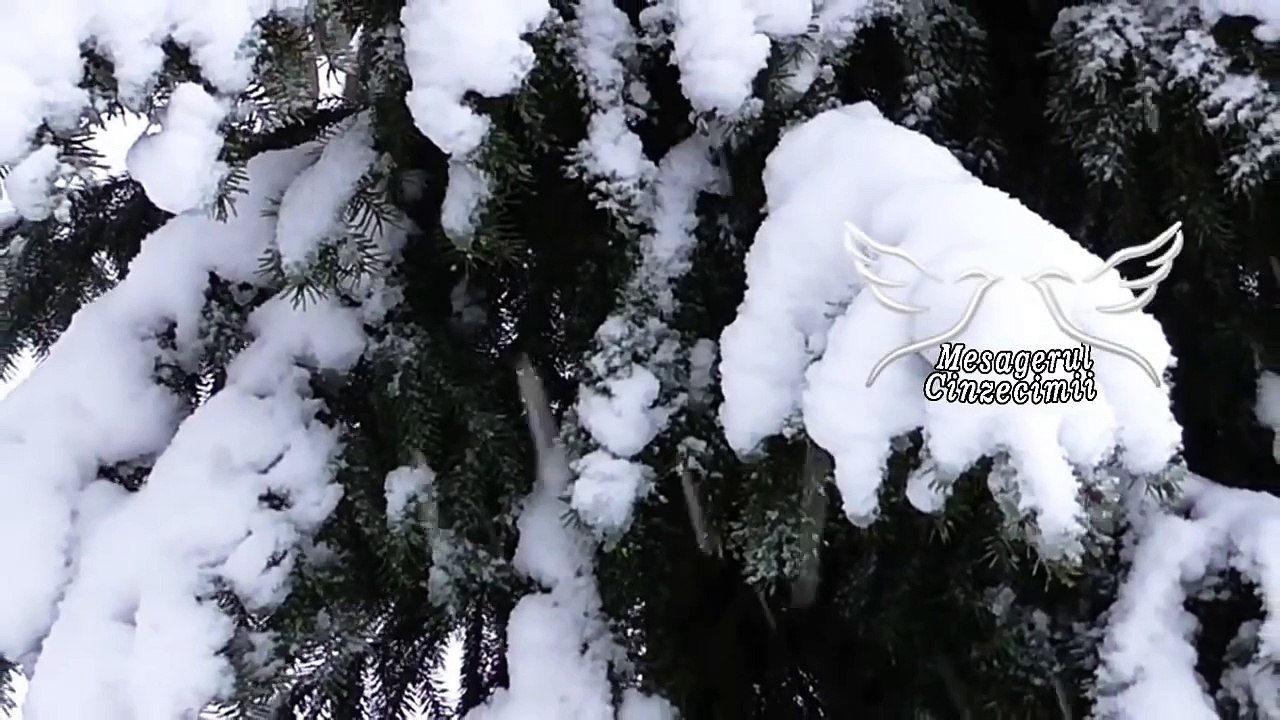 Colinde si Cantece Crestine de Craciun - Colaj