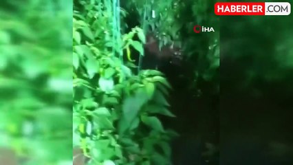 Antalya'da Sağanak Yağışlar Ev ve Seraları Su Bastı