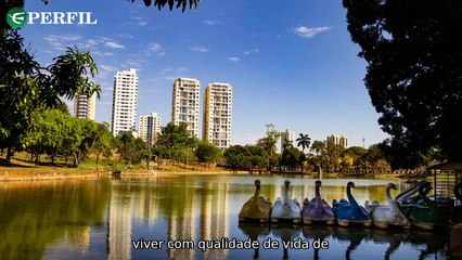 "Vida em Goiás, Elon Musk e Futebol: As Novidades de 2025 que Vão Te Surpreender!"