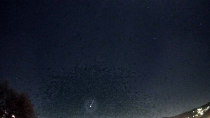 Céus de Braga iluminados por "grande meteoro" na noite de sábado. Veja