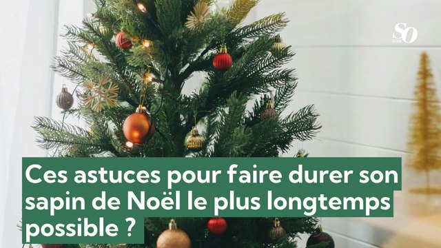 Ces astuces pour faire durer son sapin de Noël le plus longtemps possible ?