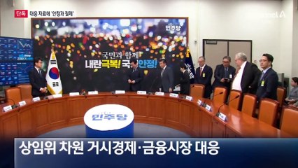 [단독]민주당 ‘탄핵 직후 대응’ 문건에 ‘안정과 절제’