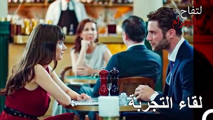 هل يمكن أن يكون هناك حب بين زينب وجيم؟ - التفاح الحرام الحلقة ال 43