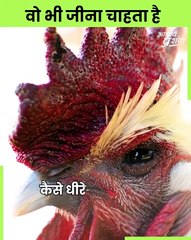 वो भी जीना चाहता है || आचार्य प्रशांत (2020)