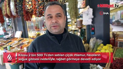 Ihlamur altınla yarışıyor
