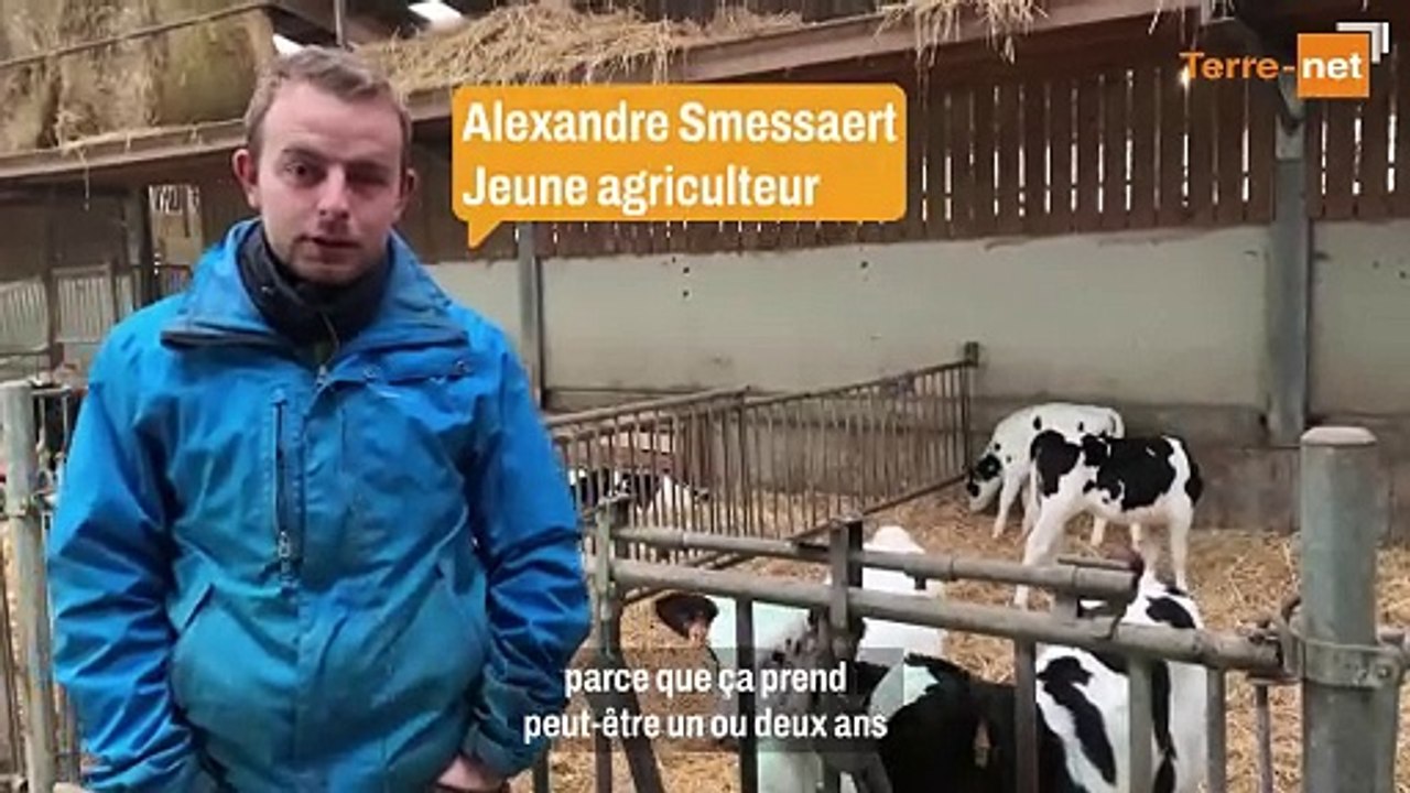 Alexandre Smessaert : « Important, en tant que jeune agriculteur, de communiquer sur son parcours auprès des jeunes en formation »