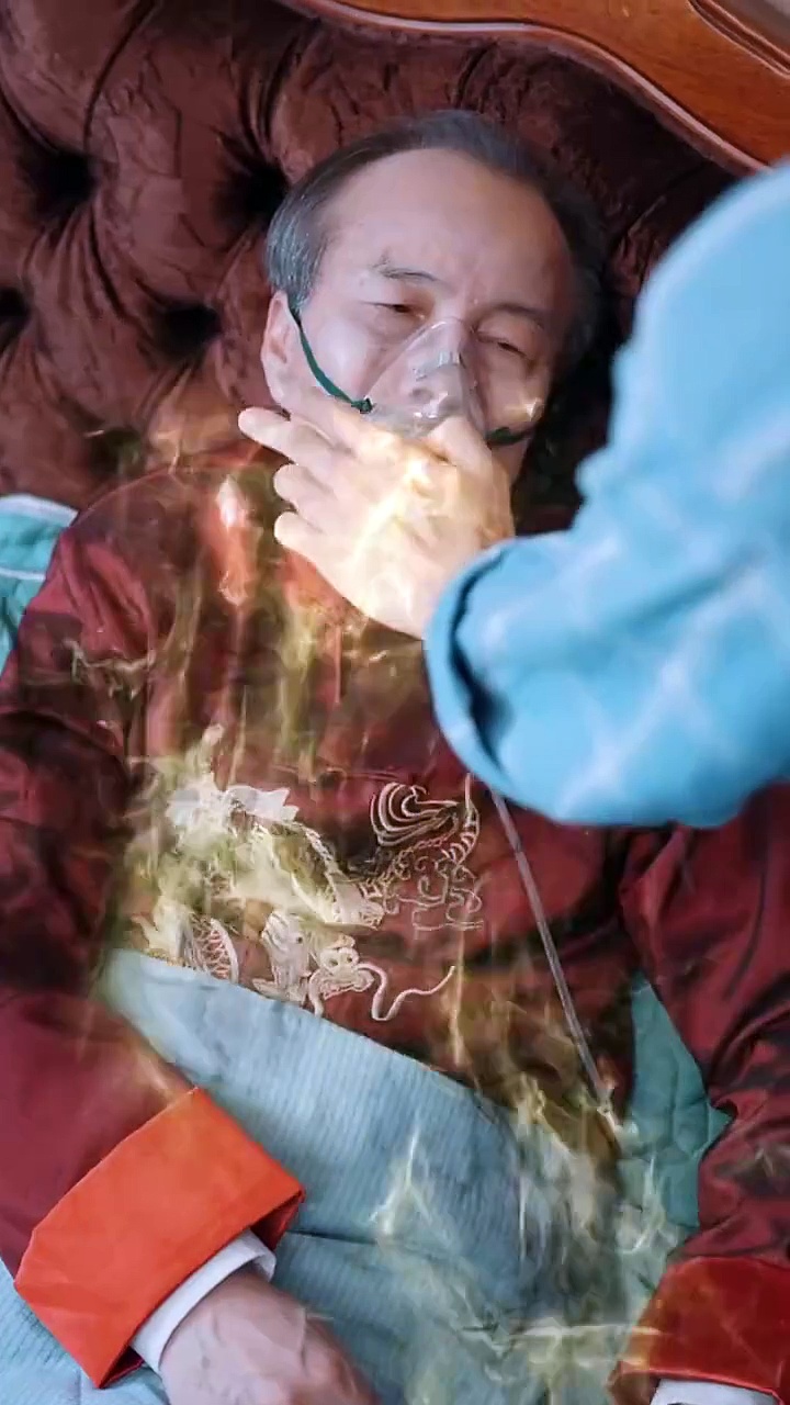 兽医也能无敌：妙手治愈奇迹