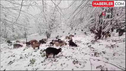 Sakarya'nın Yüksek Kesimlerinde Kar Yağışı Etkili Oluyor
