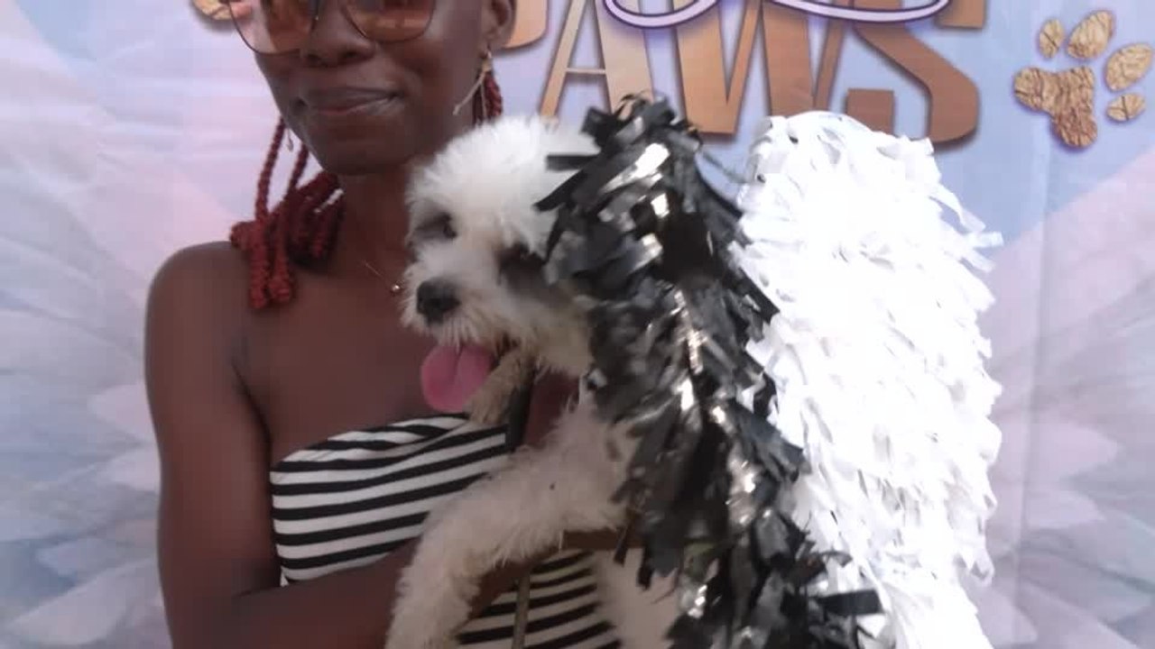 Dogs Take Center Stage at Lagos’ Angels On Paws Carnival