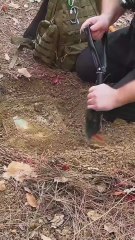 Hidden Treasure Box Discovered Deep in the Forest 🌳✨