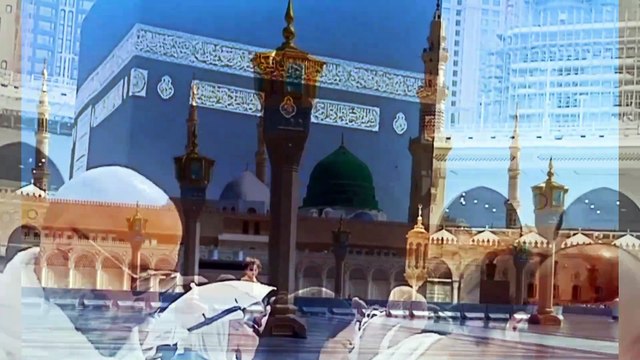 غزوہ بدر کے قیدیوں سے رسول اللہ صلی اللہ علیہ وسلم نے کیا سلوک کیا تھا ؟
