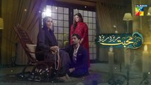 Mohabbat Reza Reza - Episode 53 - 16th December 2024 - [ Mirza Zain Baig & Minsa Malik ] - HUM TV