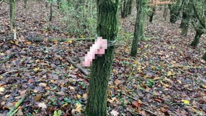 Concerns raised that new 'dogging' hotspot is operating off the A249